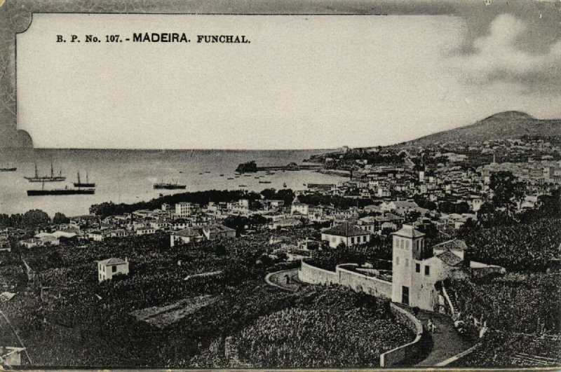 portugal, MADEIRA FUNCHAL, Panorama (1910s) B.P. 107