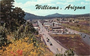 Autos Birdseye Grizzly Feathers Williams Arizona Route 66 Postcard 21-3212