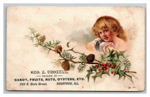 Vintage 1880's Victorian Trade Card George A. Troxell State Street Rockford IL