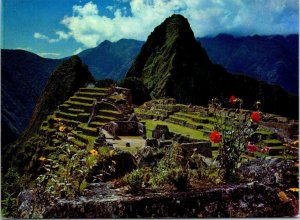 VINTAGE CONTINENTAL SIZE POSTCARD VIEW OF CITADEL MACHUPICCHU PERU