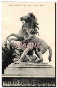 Old Postcard The Paris Marly Horse Horses