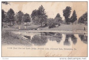 Pond lillies and Rustic Bridge, Artificial Lake, Fairmount Park, Philadelphia...