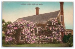 Early 1900s Rambler Roses, Cape Cod, MA Hand-Colored Postcard