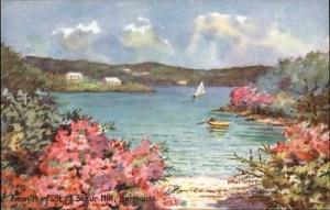 Ethel Tucker #1-90-00-99 Bermuda Scaur Hill Postcard