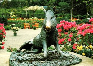 Butchart Boar Statue,Replica,Butchart Gardens,Victoria,British Columbia,Canada