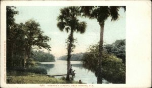 Ormond Florida FL Fishing Detroit Publishing 1900s-1910s Postcard