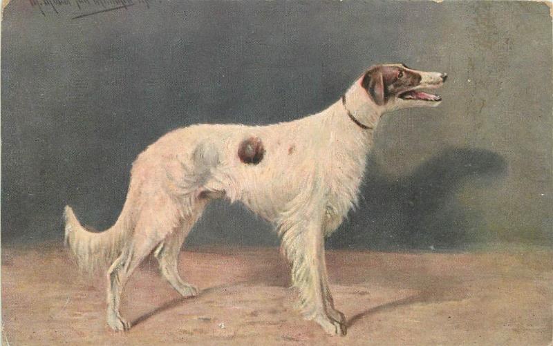 Vintage postcards lot artist signed AUGUST MULLER MUNCHEN dogs animals 