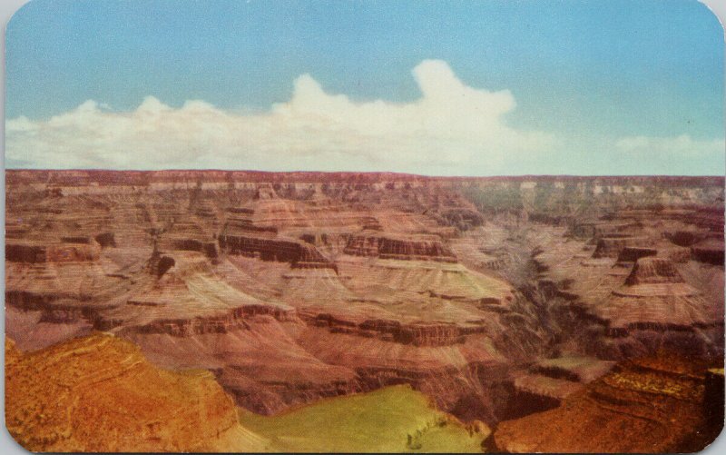 Grand Canyon Arizona AZ Unused Bob Petley Postcard F41