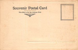 Indianapolis Indiana Hotel English and Soldiers Monument Postcard AA99843