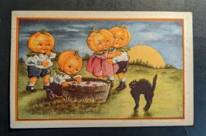 1917 Pumpkin People Black Cat Embossed Illustrated Postcard Cover NY