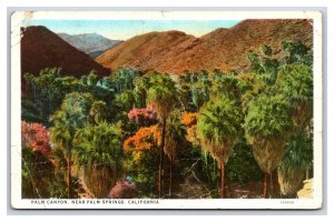 Palm Canyon Palm Springs California CA UNP WB Postcard S24