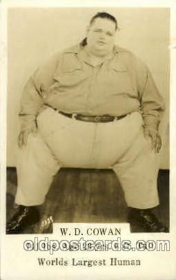 W.D. Cowan 741 LBS, Age 23 6 ft tall, Heaviest Person Unused close to grade 1...