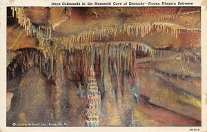 Onyx colonnade Frozen Niagara entrance Mammoth Cave KY