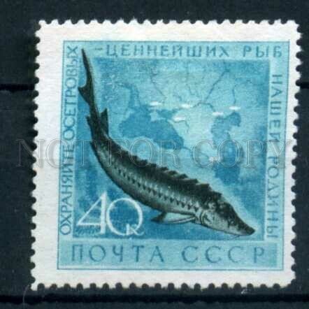 505293 USSR 1959 year Protection of marine fauna fish stamp