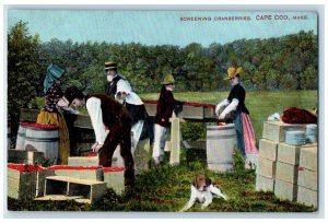 c1910's Screening Cranberries Farmers Dog Cape Cod Massachusetts MA Postcard