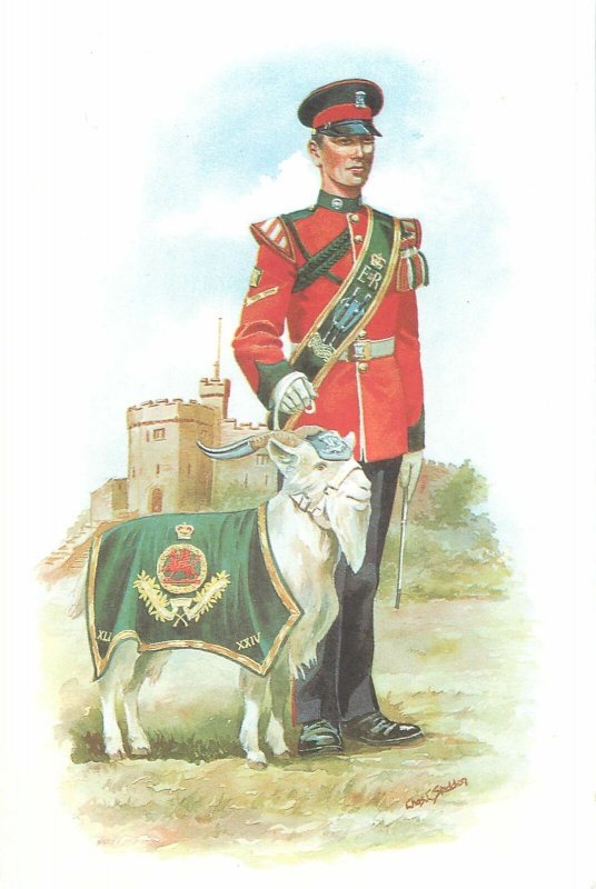 Military postcard 42 goat major the royal regiment of Wales 1973