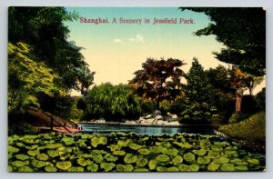 Shanghai  China   Jessfield Park    Postcard