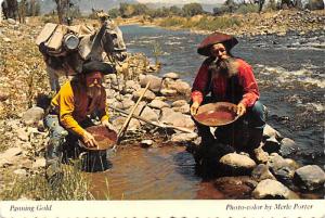 Panning Gold - California