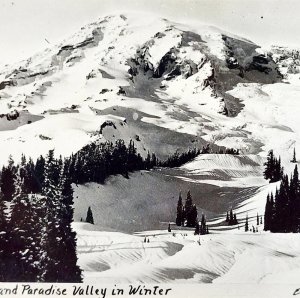 RPPC Mount Rainier And Paradise Valley Ellis 1920s Washington Pacific NW PCBG6C