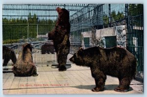 Vancouver British Columbia Canada Postcard The Bears Stanley Park 1910 Antique