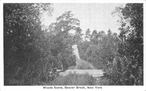 NY, New York  BEAVER BROOK WOODS SCENE  Sullivan County  VINTAGE B&W Postcard