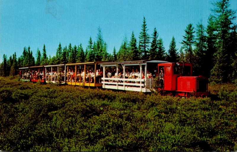 Trains The Toonerville Trolley Michigan