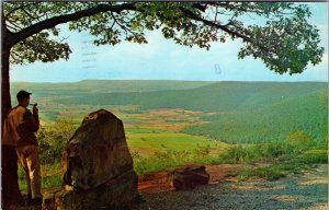 Vtg Sewanee Tennessee TN Green's View Overlook Panoramic Scenic Postcard