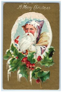 Christmas Purple Robe Santa Claus Berries Embossed Corpus Christi TX Postcard