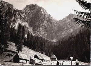 Poland Tatry Hala Strążyska Vintage RPPC BS.27