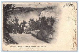 Niagara Falls New York NY Postcard President McKinley On Goat Island 1905 Posted