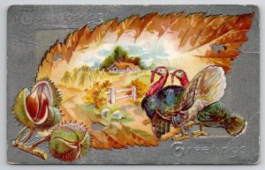 Thanksgiving Chestnuts Turkey 1911 Portland & Island Pond RPO Postcard K28