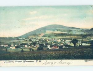 Divided-Back PANORAMIC VIEW Stamford - Near Delhi & Oneonta & Schoharie NY i1528