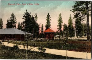 Scene in Blackwell Park, Coeur d'Alene ID c1908 Vintage Postcard B79