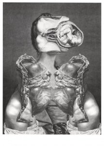 Foetus In Face Anatomy Switzerland Engraving Art 8x6 Postcard