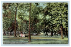 1914 Under The Oaks Belle Isle Park Detroit Michigan MI Antique Postcard 