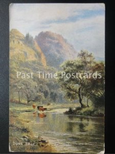 c1908 - Dove Dale, Derbyshire