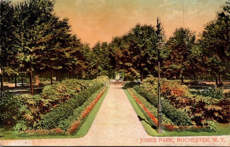 New York Rochester View In Jones Park 1909