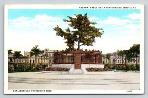Havana Cuba Pan-American Fraternity Tree Ceiba Linen Postcard 1928 Conference