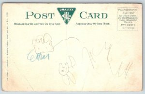 Providence  Rhode Island  High Schools    Postcard