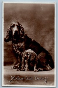 c1930's Spaniels Dog Mother's Little Darling Animals RPPC Photo Postcard