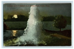 C.1910 Artesian Well Blalock Fruit Ranch Walla Walla Washington Postcard P94