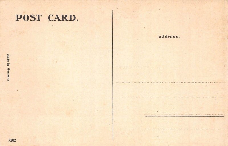 L379 India Kushroo Bagh City Gate Allahabad vintage postcard