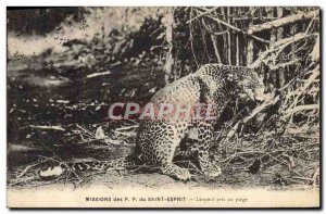 Old Postcard Felin PP Mission of the Holy Ghost Leopard caught in a trap