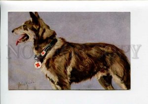 3159674 WWI German Shepherd Dog RED CROSS by HEIDE Vintage PC