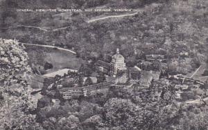 Virginia Hot Springs General View The Homestead