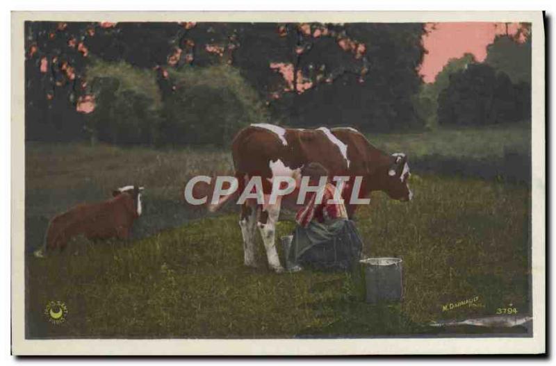 Postcard Old Woman Milking Cow Folklore