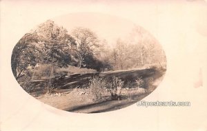 Tree Scene in Saint Joseph, Missouri