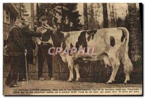 Old Postcard Folklore The Marechal Joffre admiring a cow