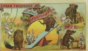 1880's Adam Forepaugh's Circus, Clown Elephant Burke Trade Card P113