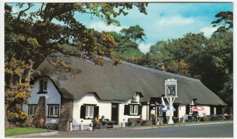 Hampshire; New Forest, The Cat & Fiddle, New Forest PPC By Dennis, Unused, c 80s